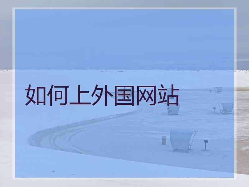 如何上外国网站