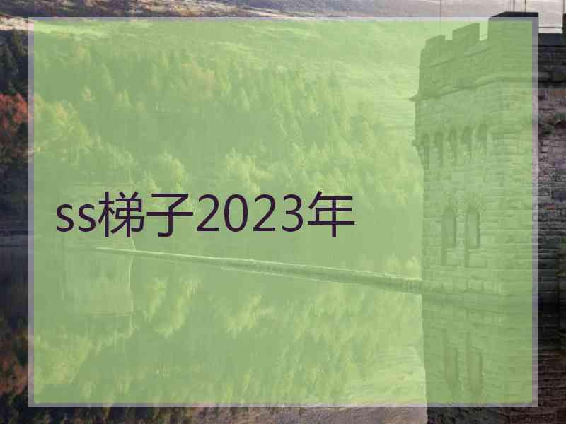 ss梯子2023年