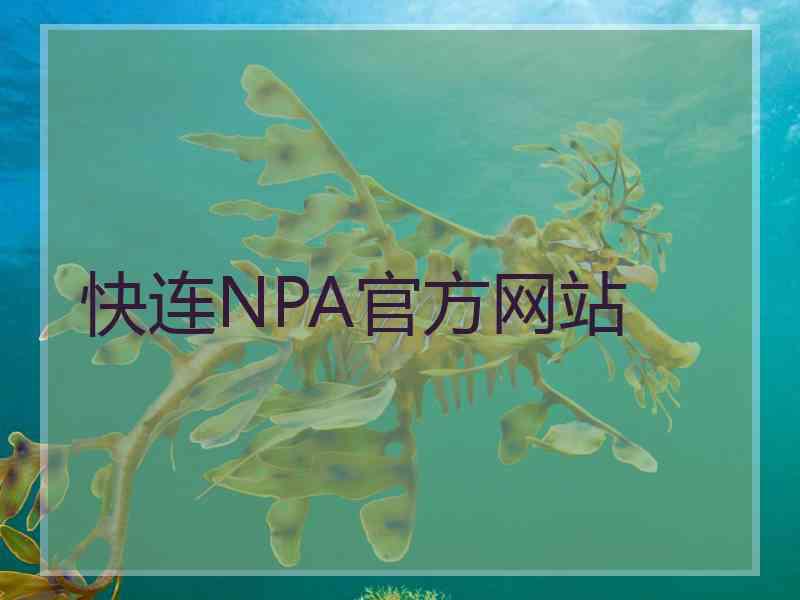 快连NPA官方网站