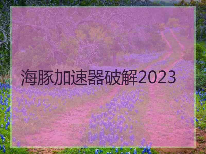 海豚加速器破解2023