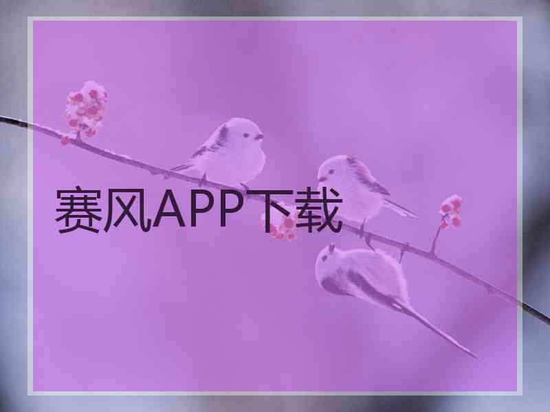 赛风APP下载