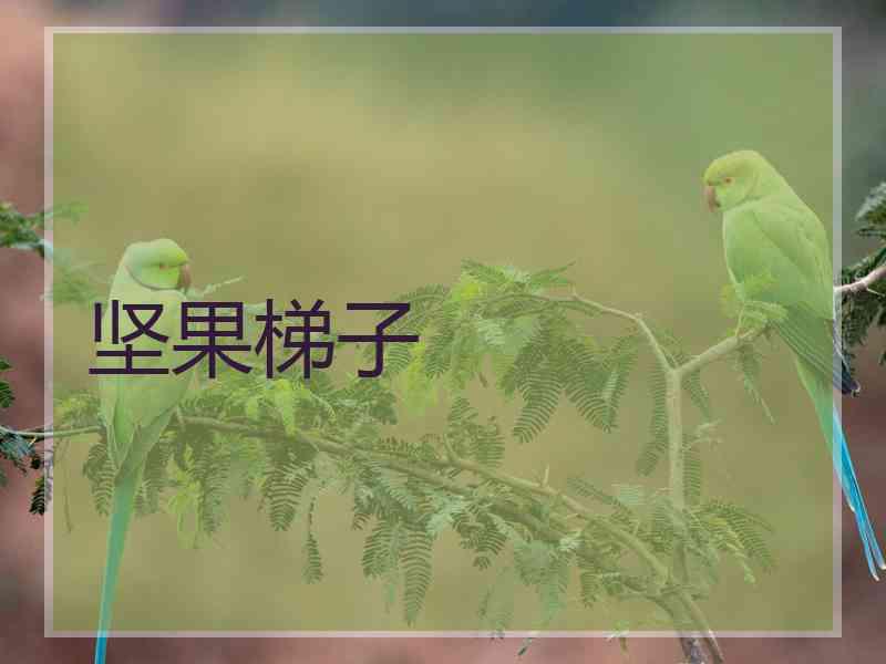 坚果梯子