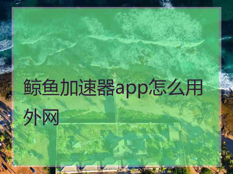 鲸鱼加速器app怎么用外网
