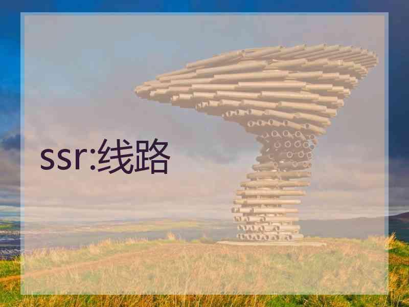 ssr:线路
