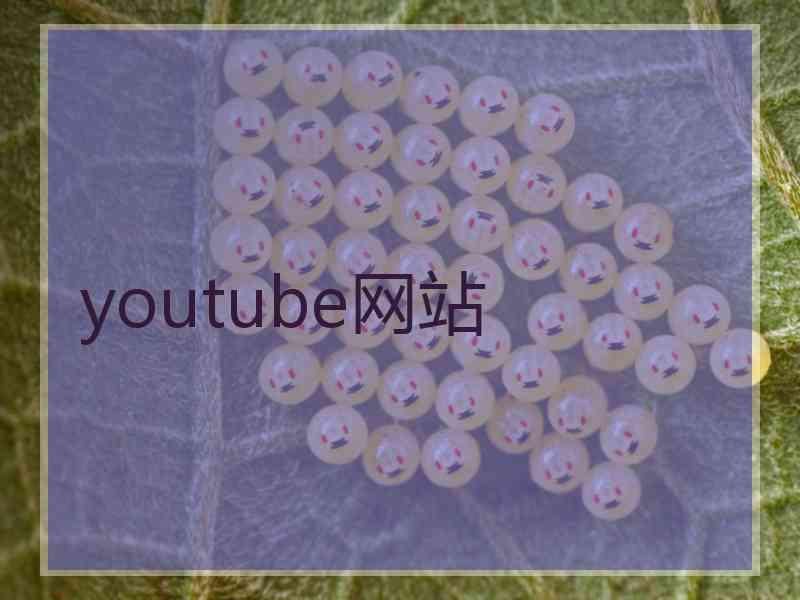 youtube网站