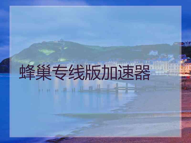 蜂巢专线版加速器