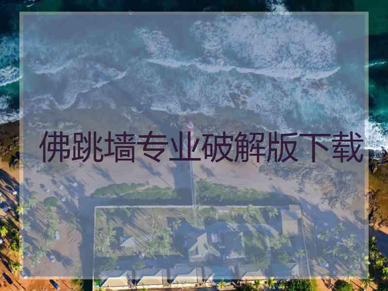 佛跳墙专业破解版下载