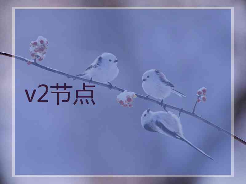 v2节点