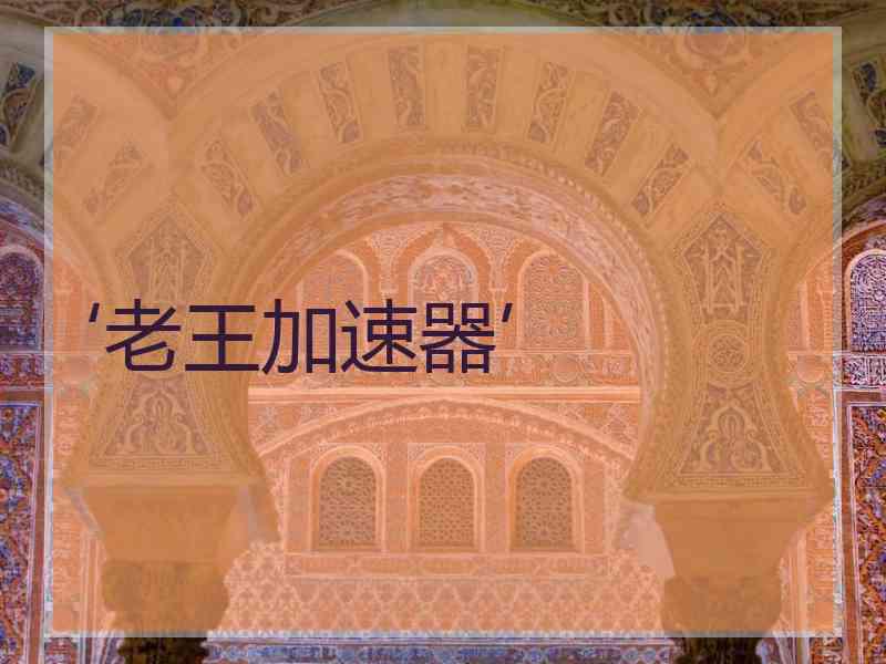 ‘老王加速器’