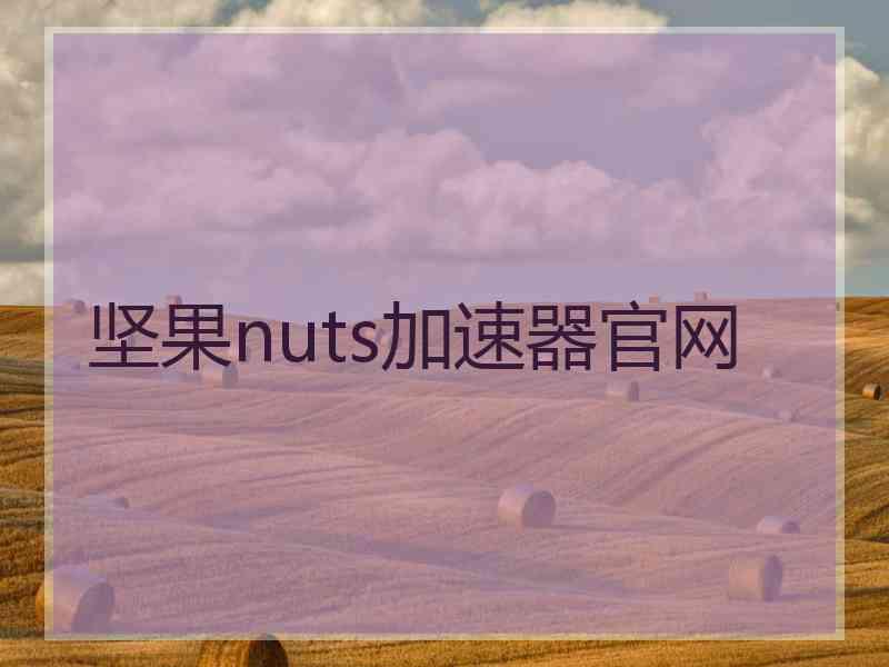 坚果nuts加速器官网