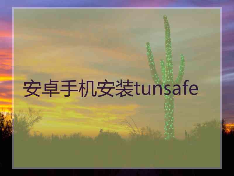 安卓手机安装tunsafe