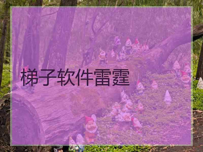 梯子软件雷霆
