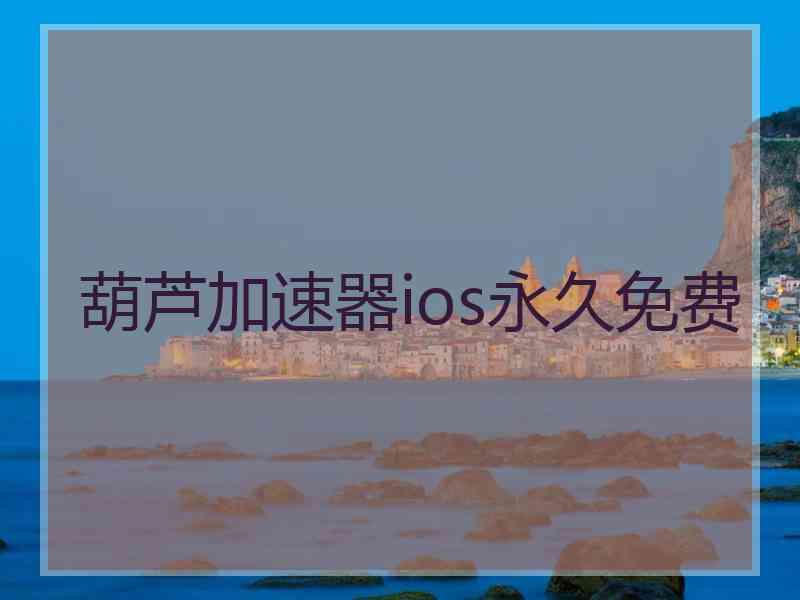 葫芦加速器ios永久免费