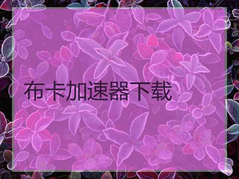 布卡加速器下载