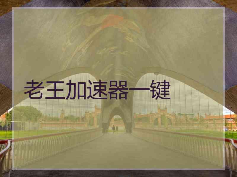 老王加速器一键