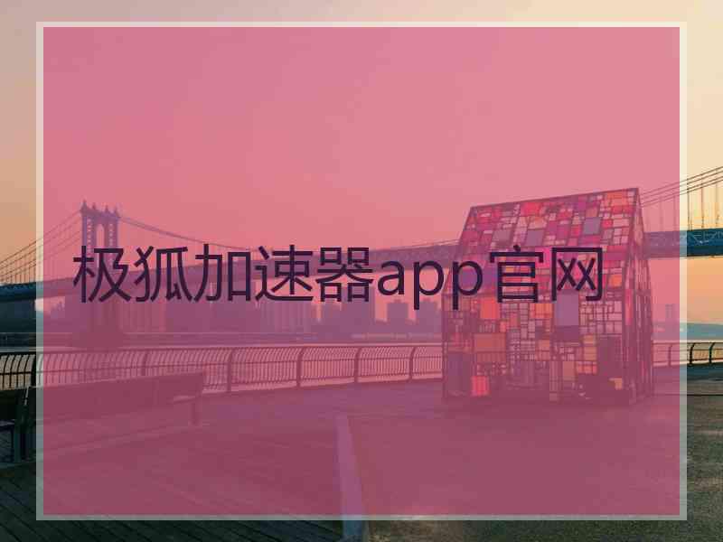 极狐加速器app官网