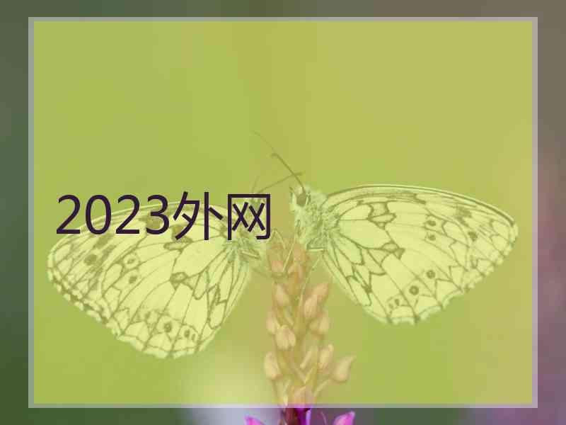 2023外网