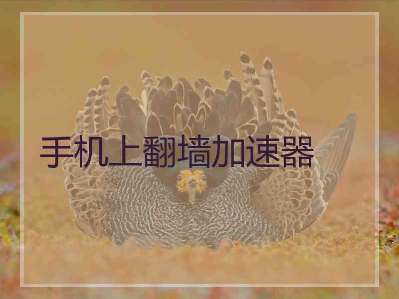 手机上翻墙加速器