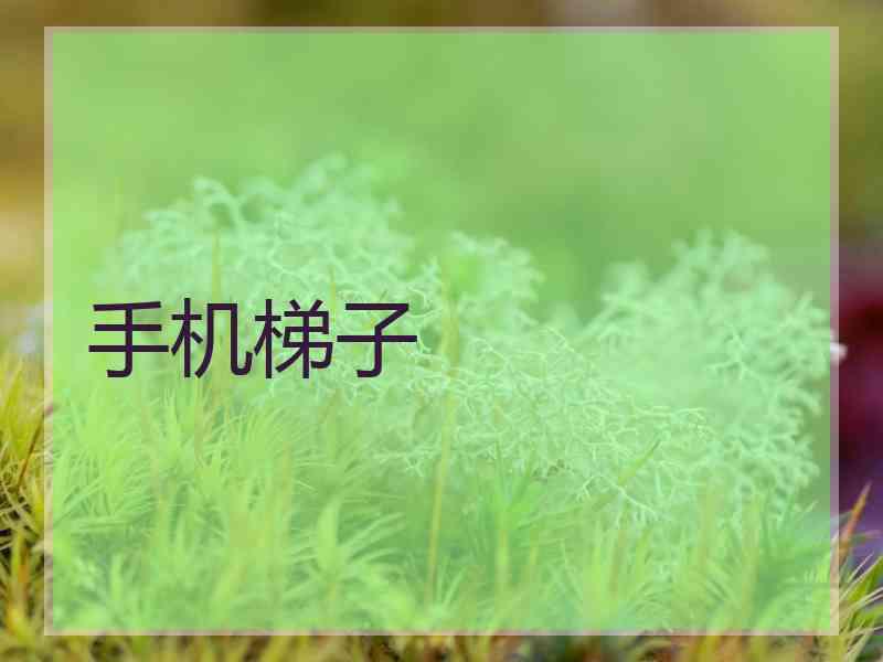 手机梯子