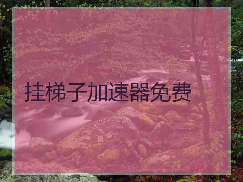 挂梯子加速器免费
