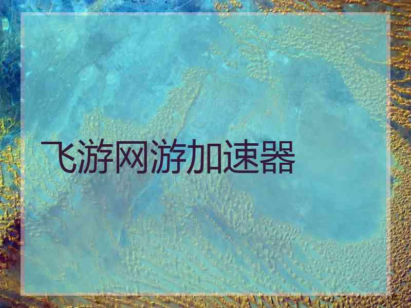 飞游网游加速器