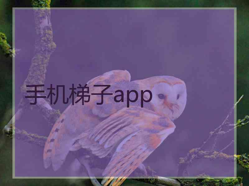 手机梯子app