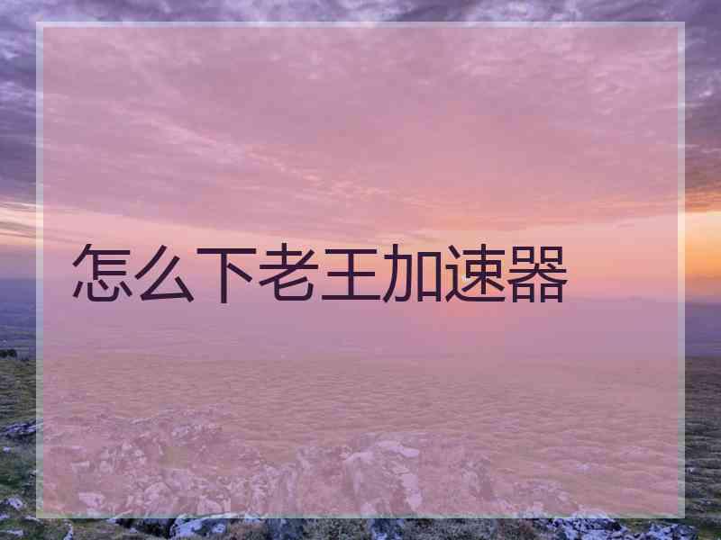 怎么下老王加速器