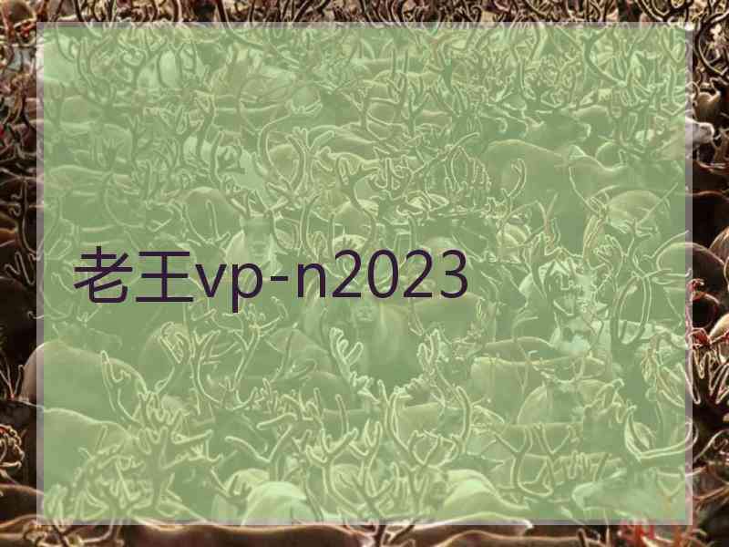 老王vp-n2023