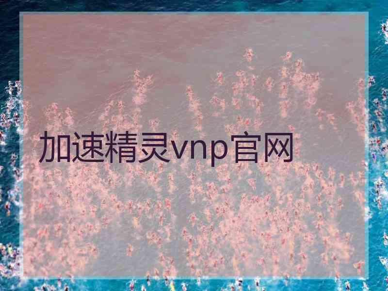 加速精灵vnp官网