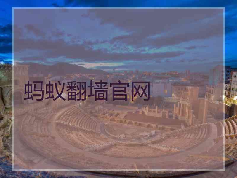 蚂蚁翻墙官网