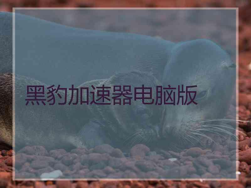 黑豹加速器电脑版