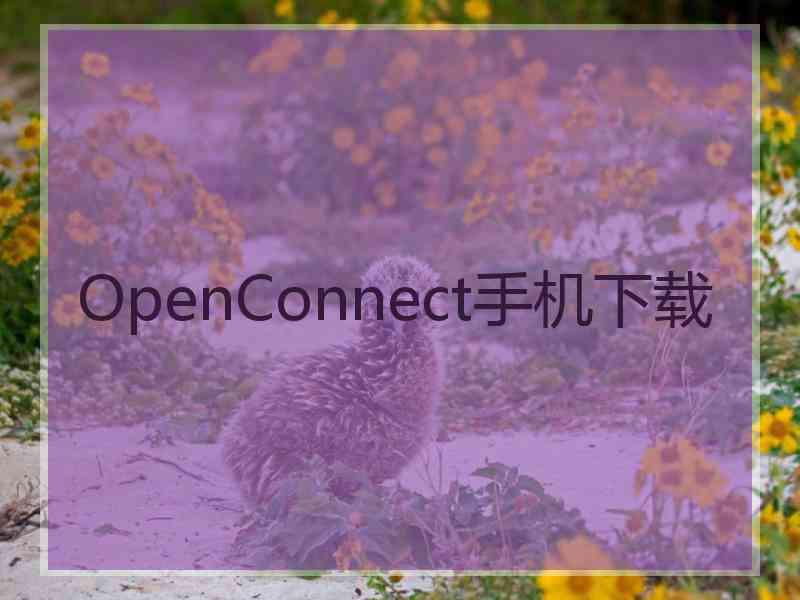OpenConnect手机下载