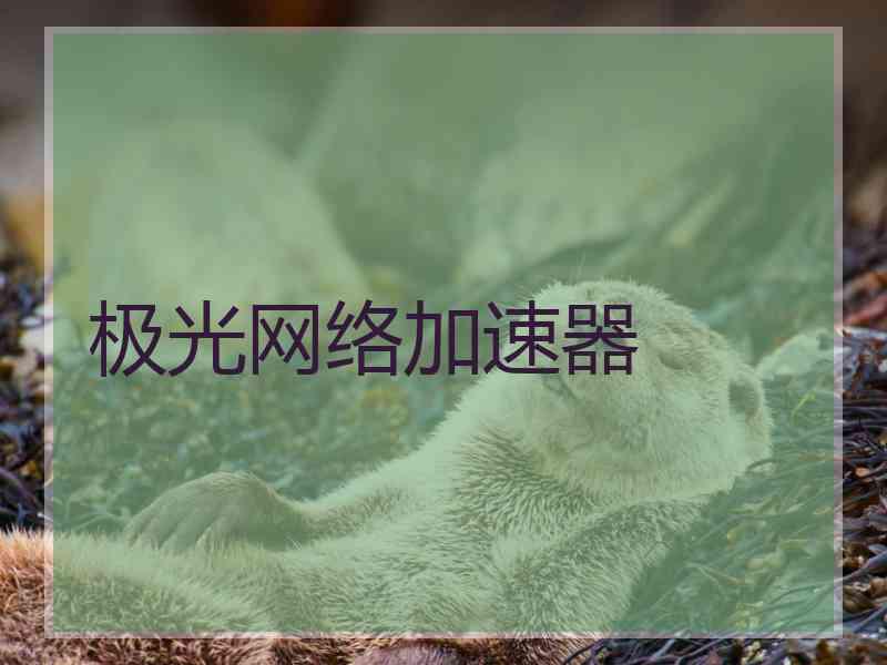 极光网络加速器