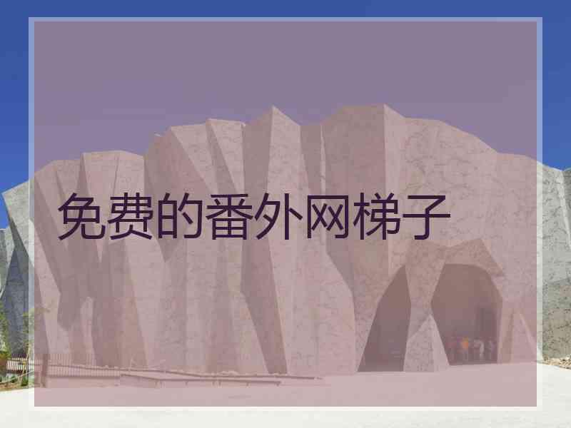 免费的番外网梯子