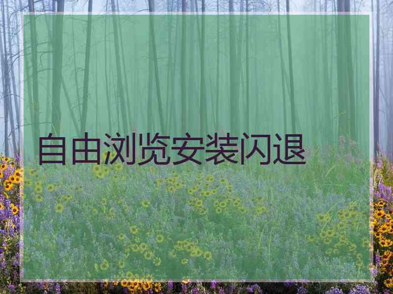 自由浏览安装闪退
