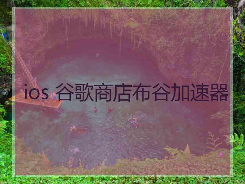 ios 谷歌商店布谷加速器