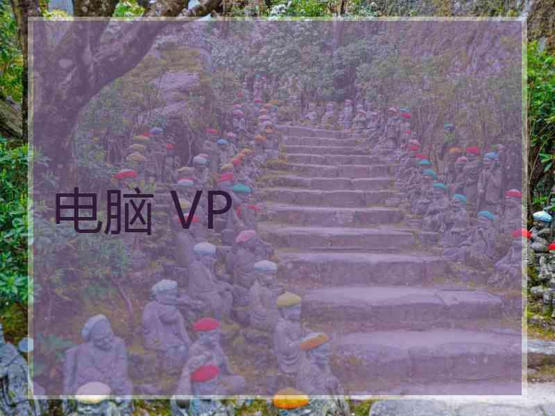 电脑 VP