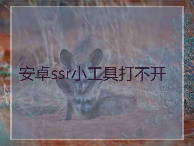 安卓ssr小工具打不开