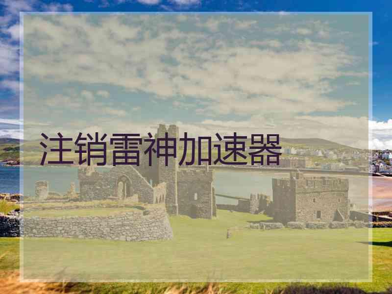 注销雷神加速器