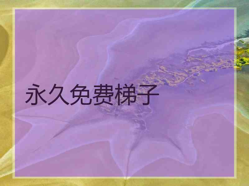 永久免费梯子