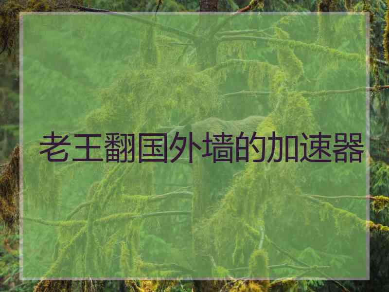 老王翻国外墙的加速器