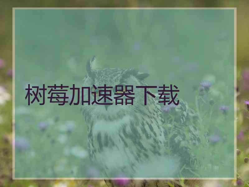 树莓加速器下载