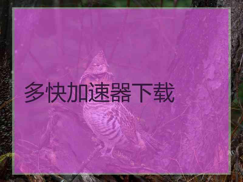 多快加速器下载