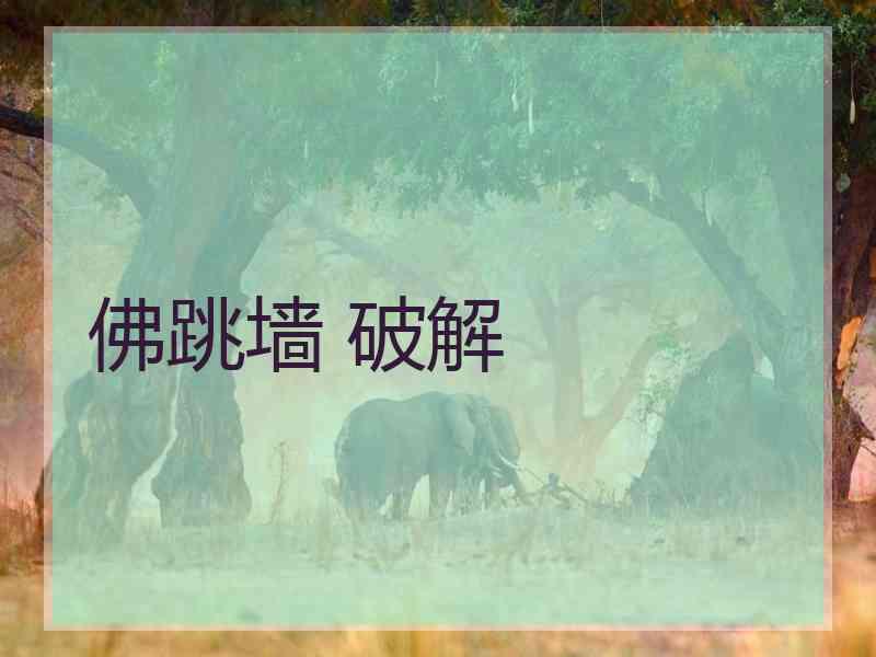 佛跳墙 破解