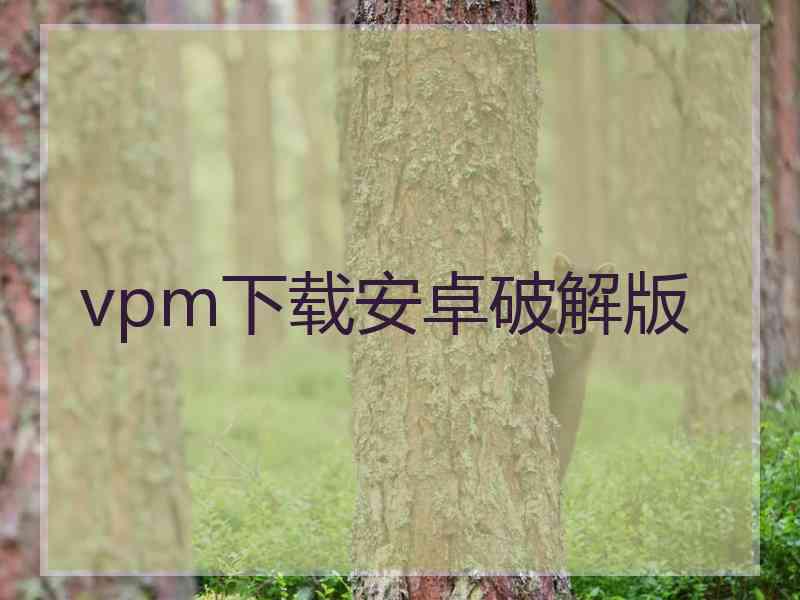 vpm下载安卓破解版