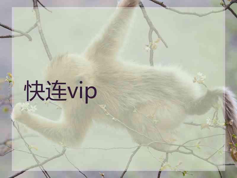 快连vip