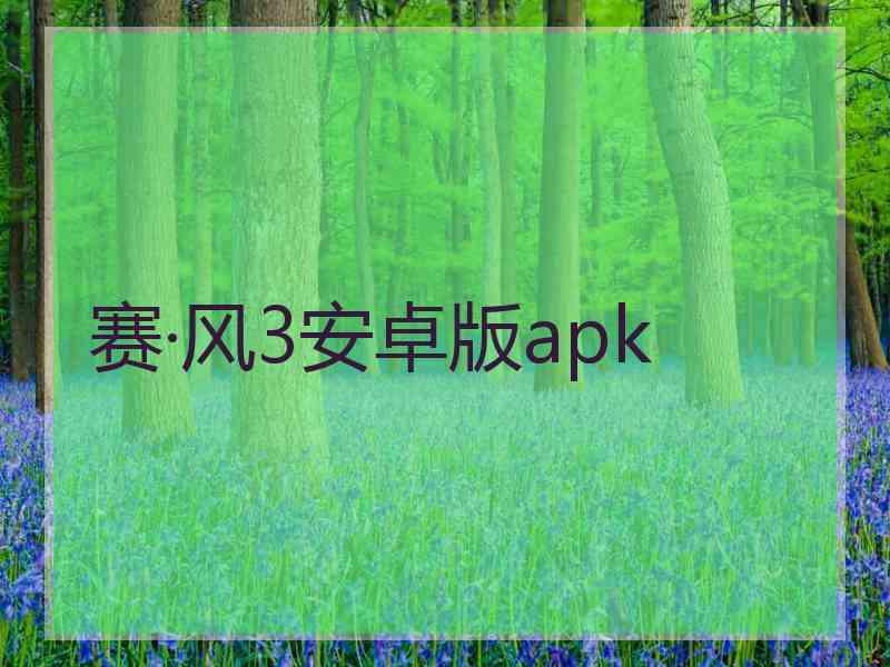 赛·风3安卓版apk