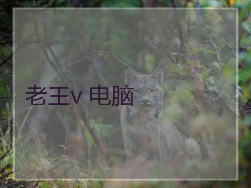 老王v 电脑