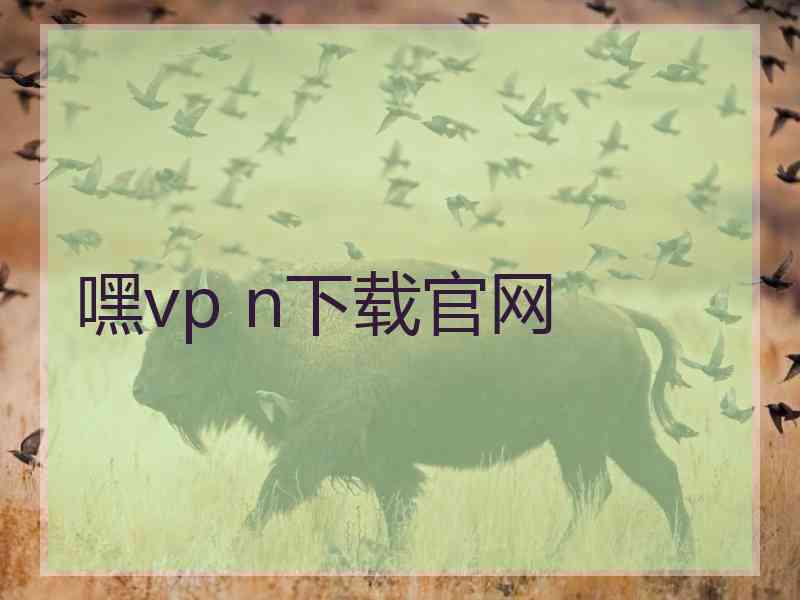 嘿vp n下载官网