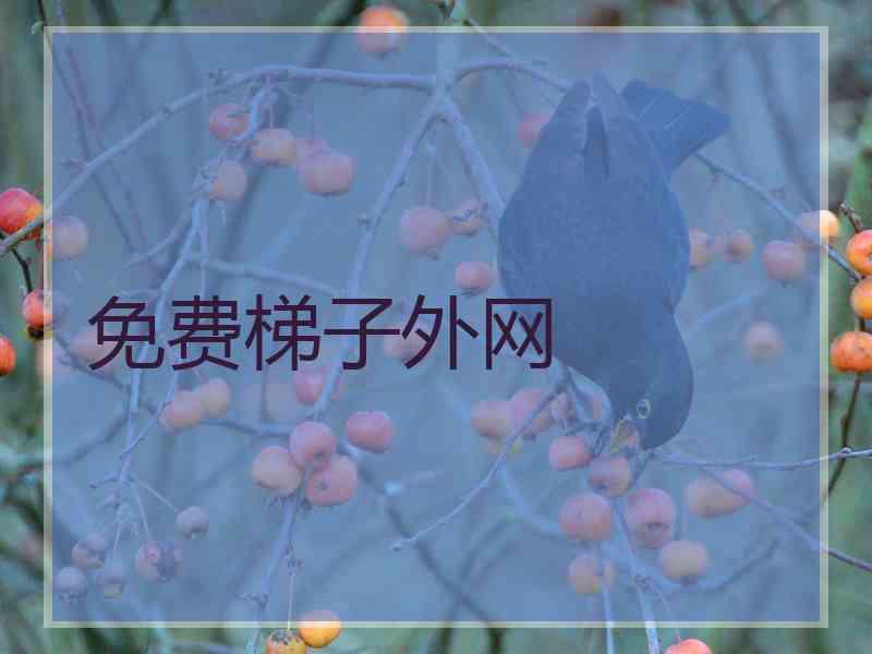 免费梯子外网